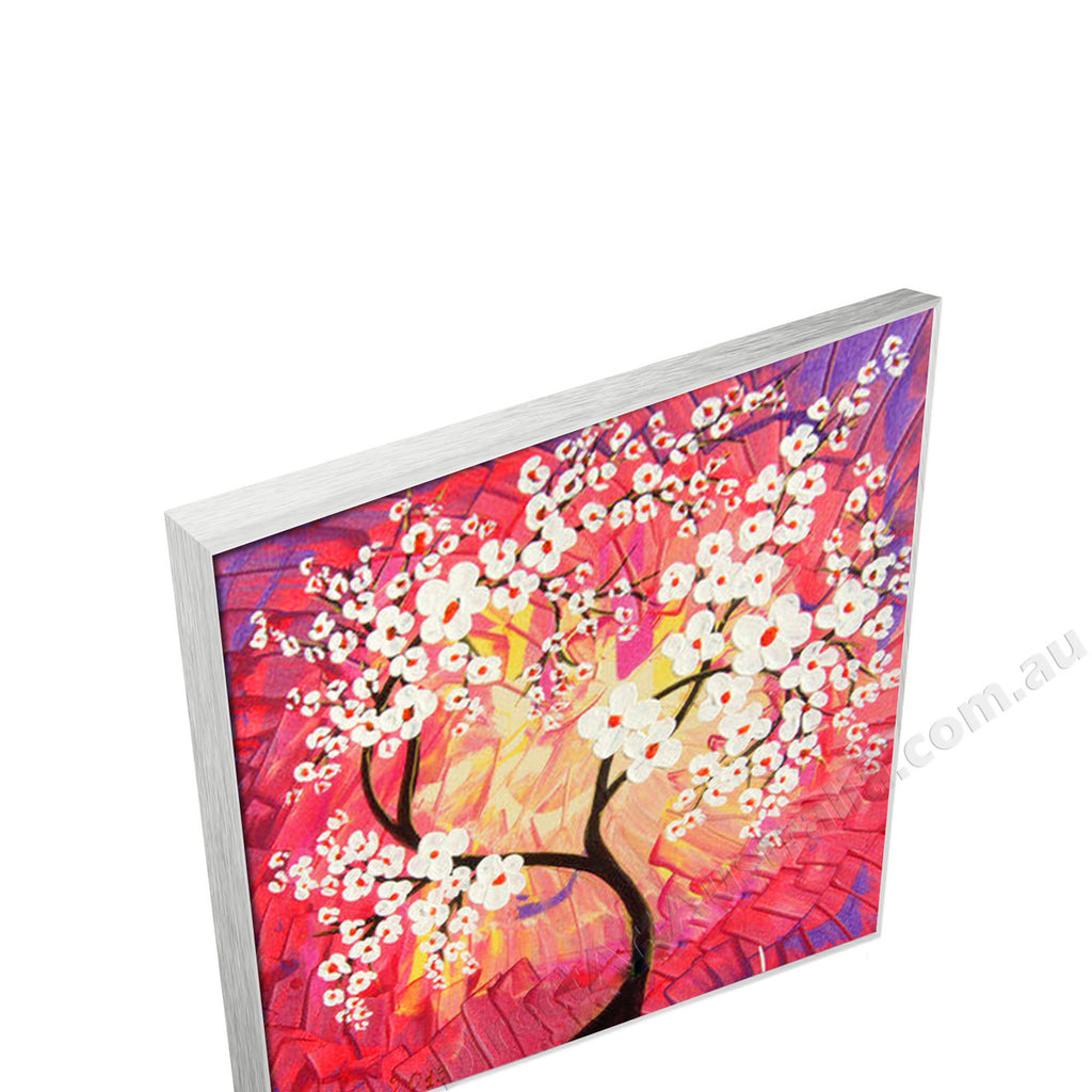 Silver Floating Frame
