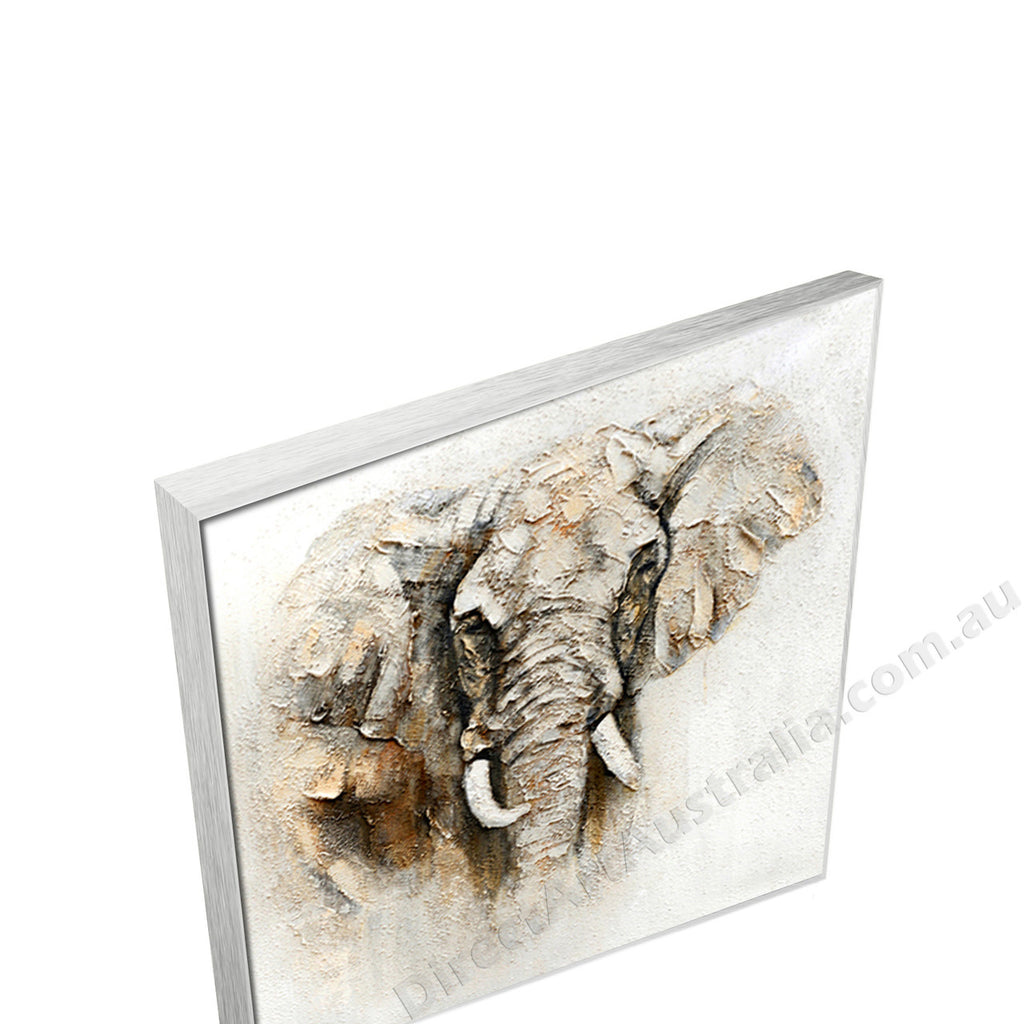 Silver Floating Frame