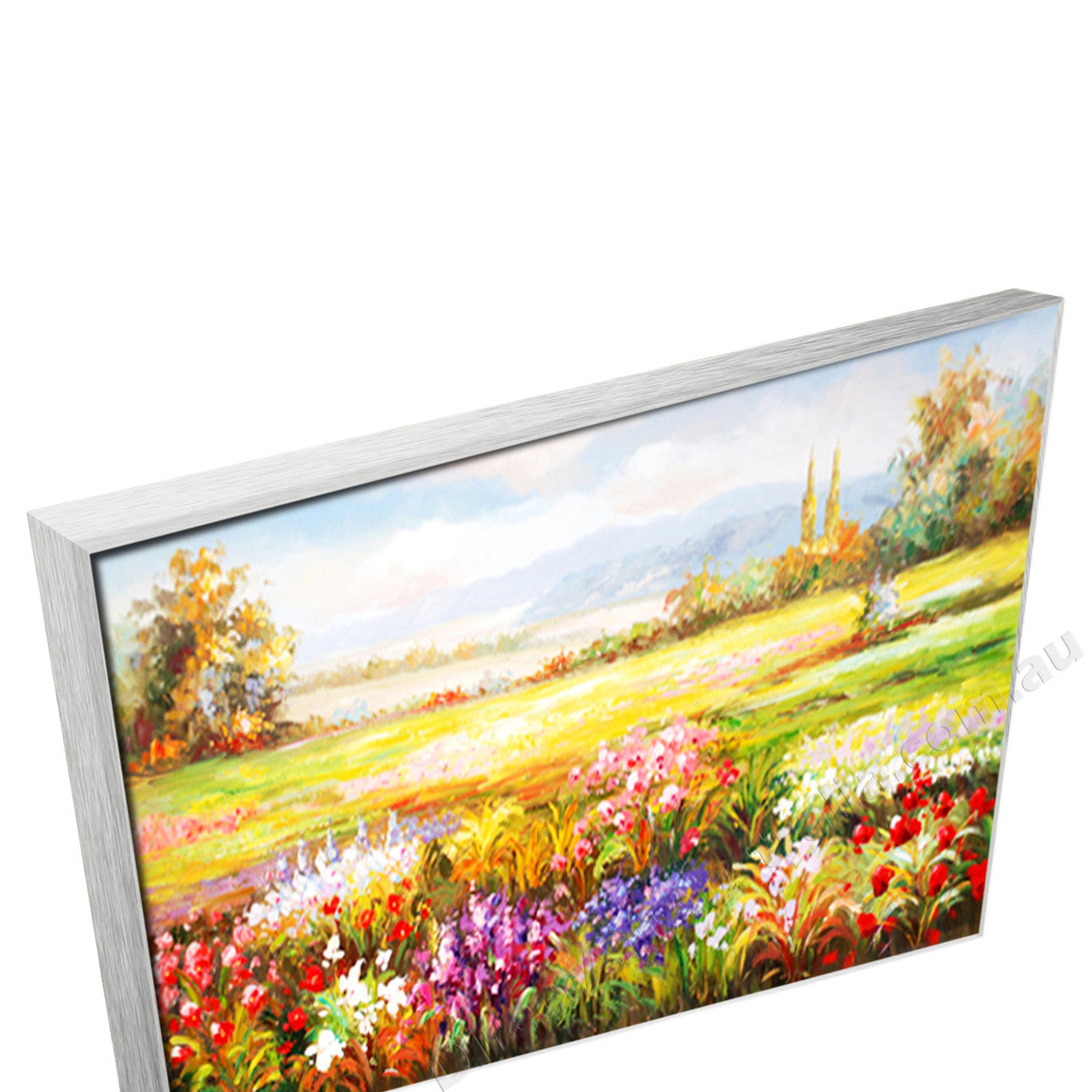 Silver Floating Frame