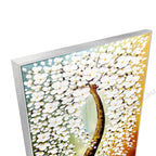 Silver Floating Frame
