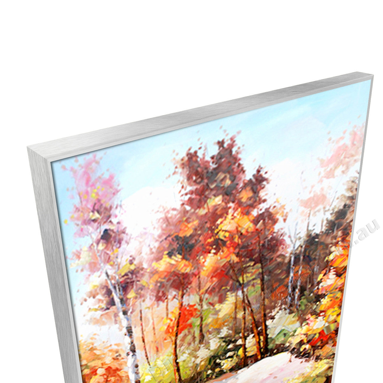 Silver Floating Frame