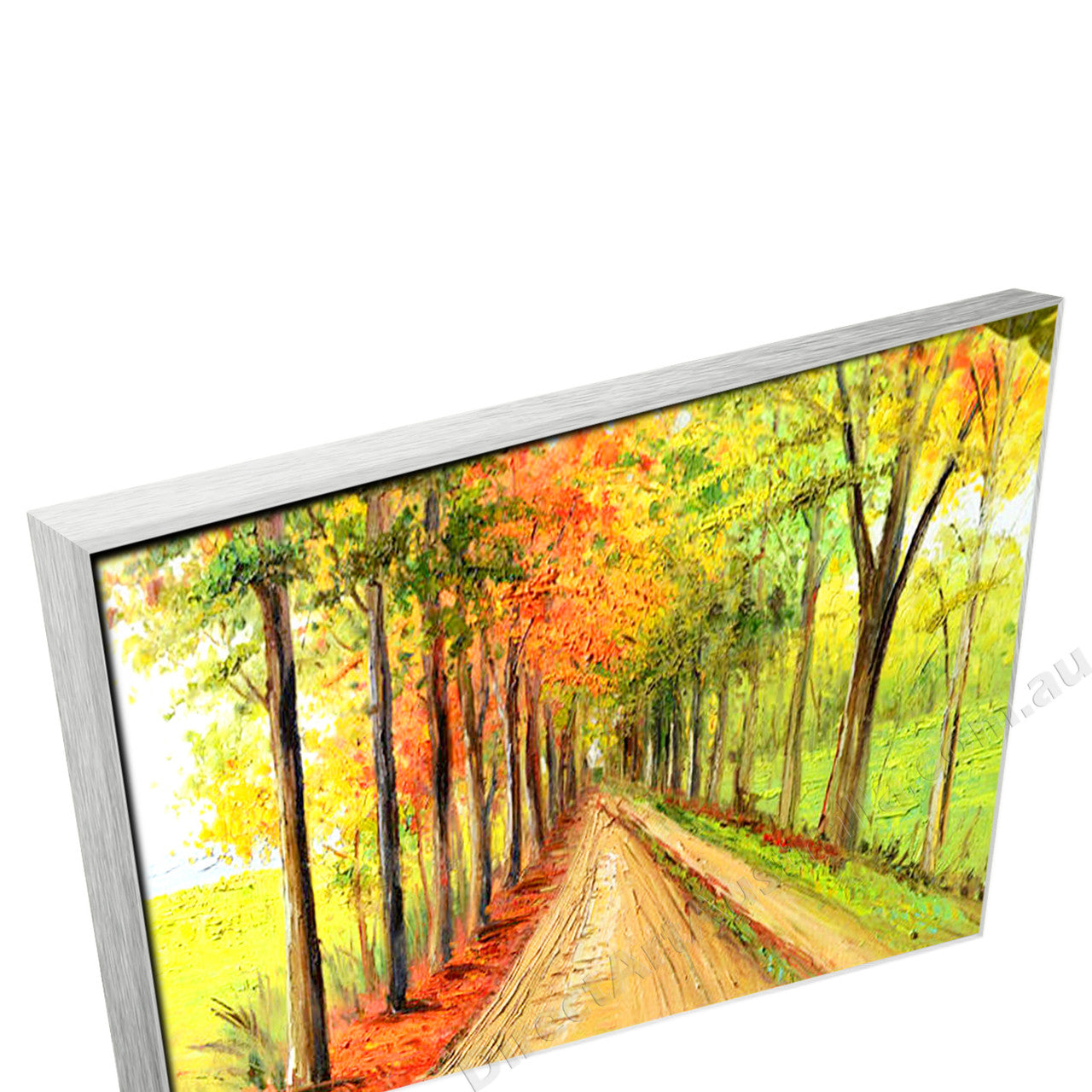 Silver Floating Frame