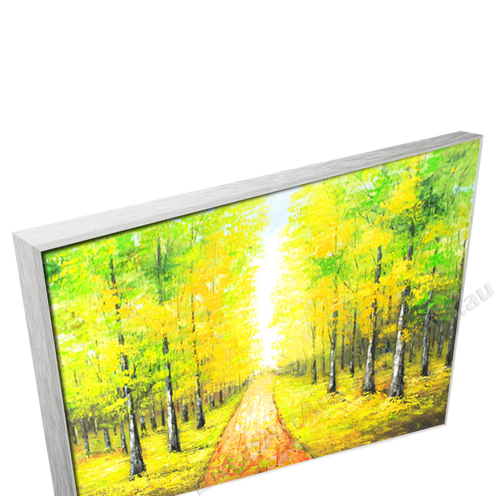Silver Floating Frame