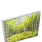 Silver Floating Frame