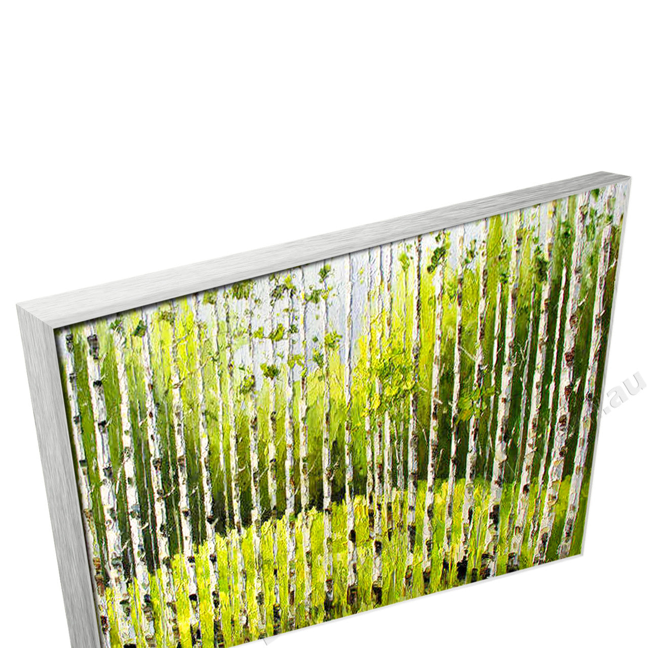 Silver Floating Frame