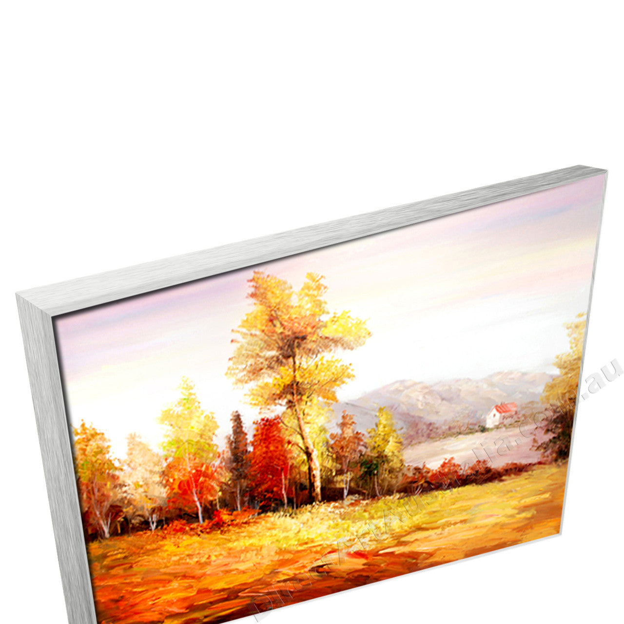Silver Floating Frame