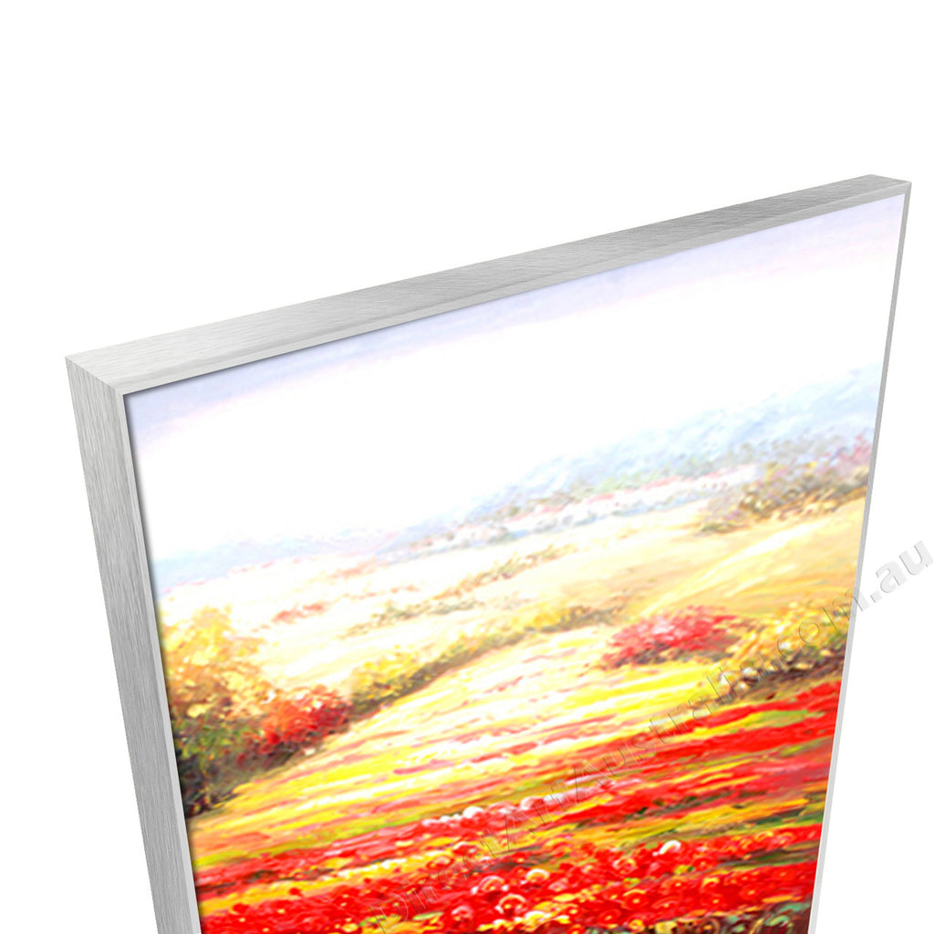 Silver Floating Frame