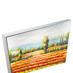 Silver Floating Frame