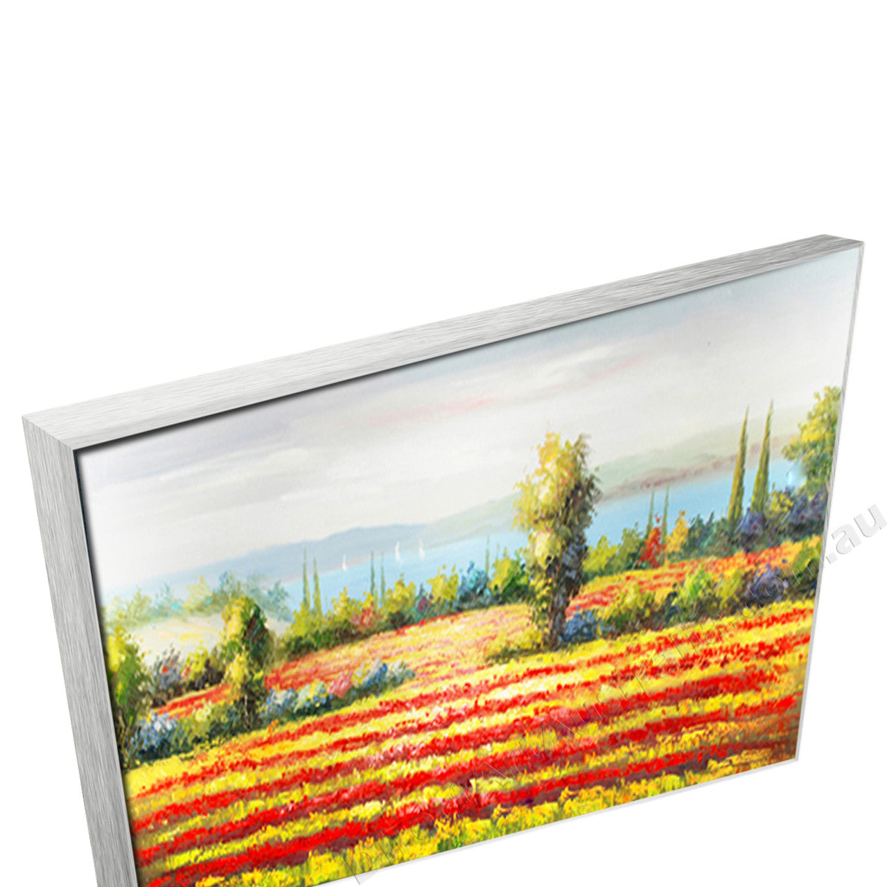 Silver Floating Frame