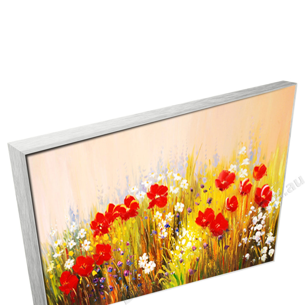 Silver Floating Frame