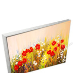 Silver Floating Frame