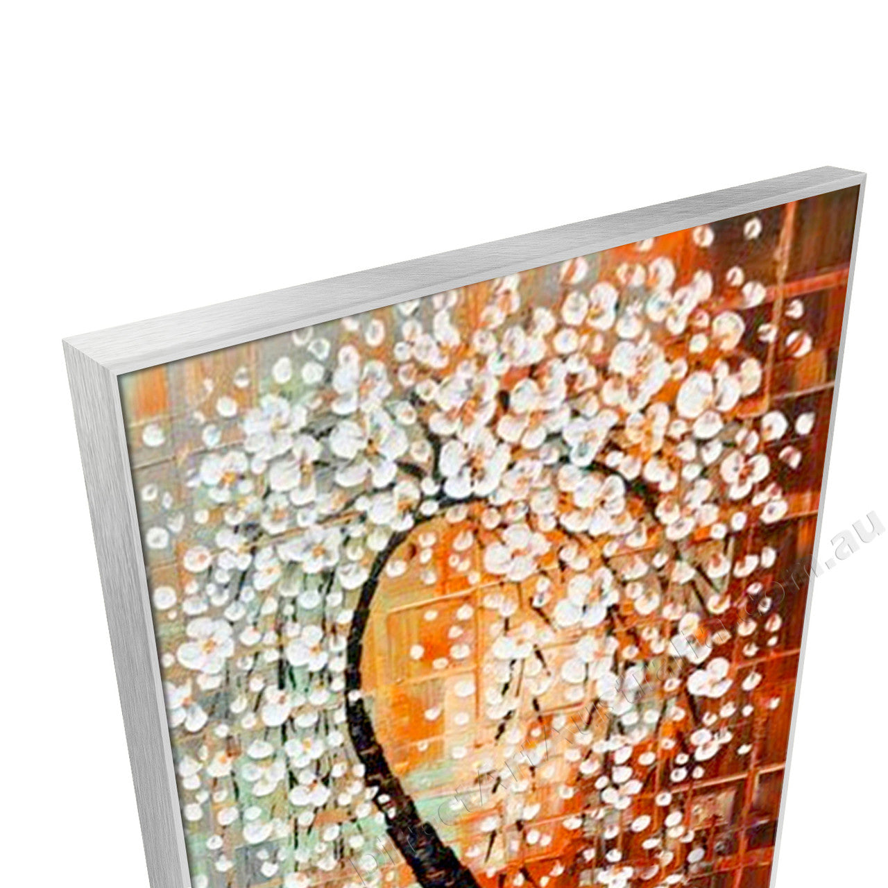 Silver Floating Frame