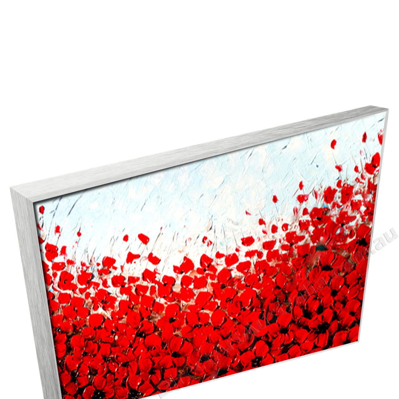 Silver Floating Frame