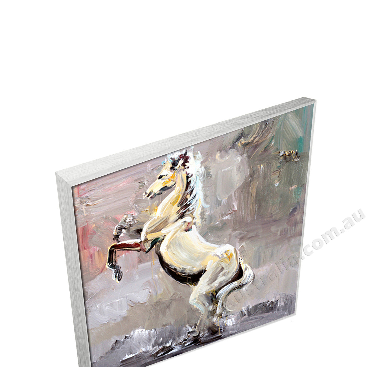 Silver Floating Frame