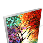 Silver Floating Frame