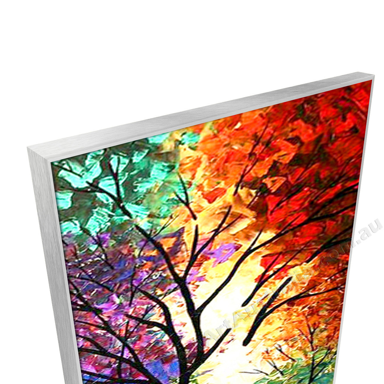 Silver Floating Frame
