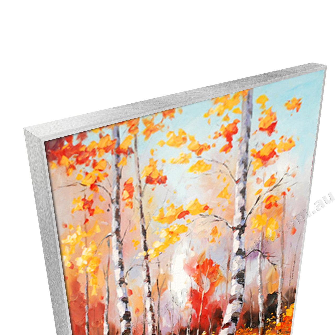 Silver Floating Frame