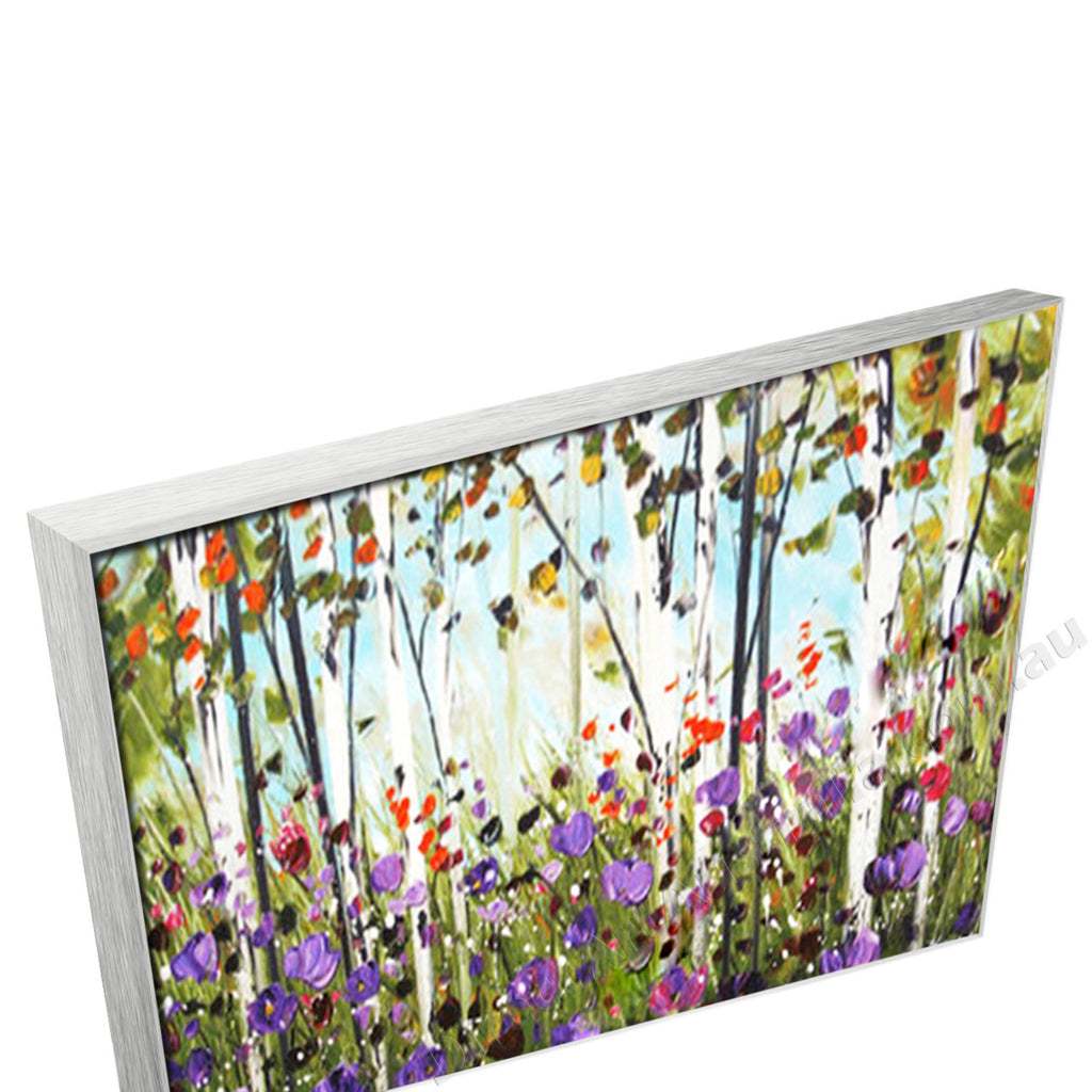 Silver Floating Frame