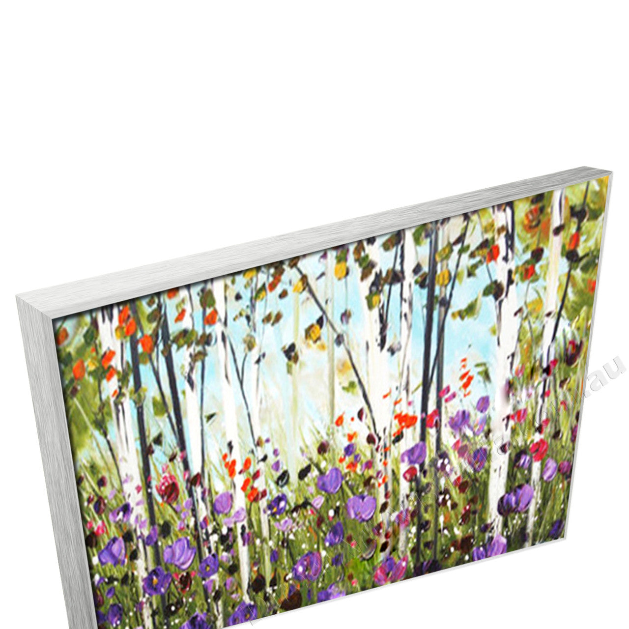 Silver Floating Frame