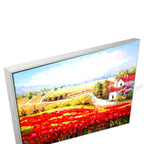 Silver Floating Frame