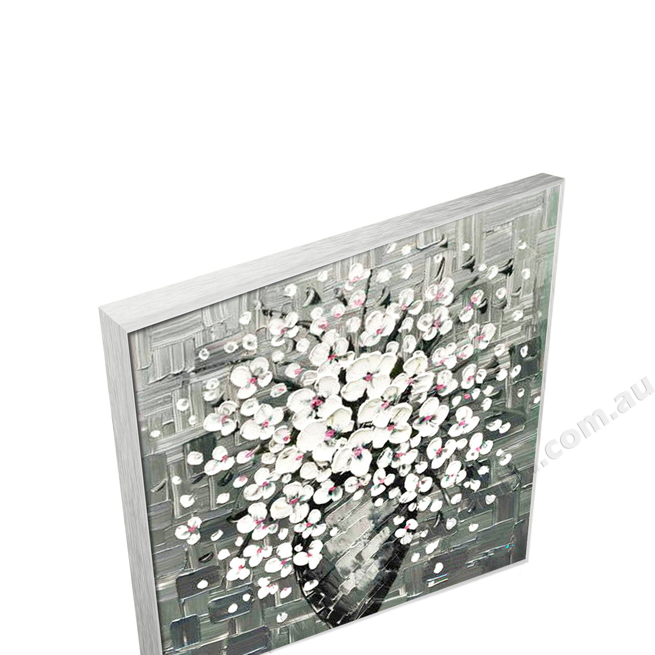 Silver Floating Frame