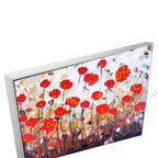 Silver Floating Frame