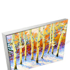 Silver Floating Frame