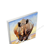 Silver Floating Frame
