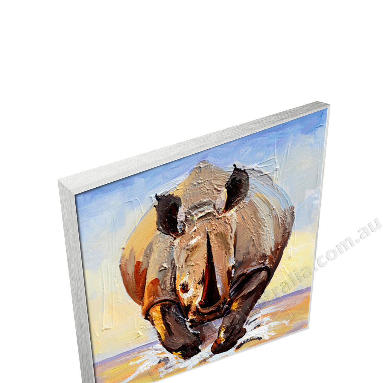 Silver Floating Frame