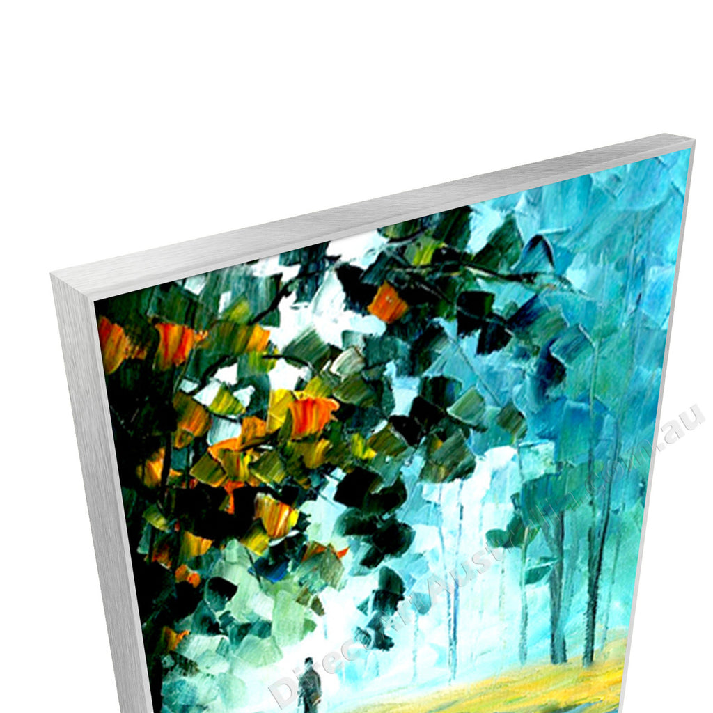 Silver Floating Frame