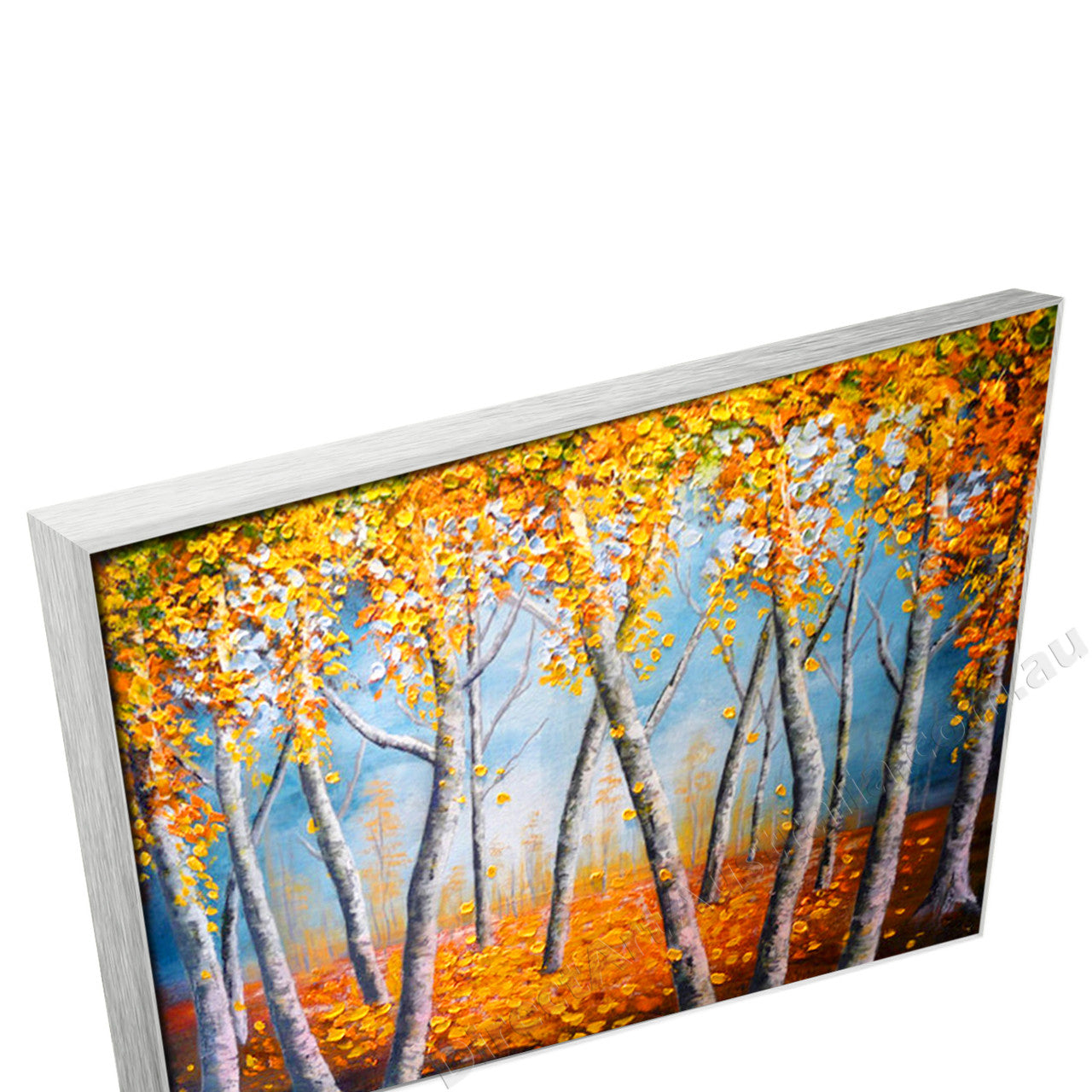 Silver Floating Frame