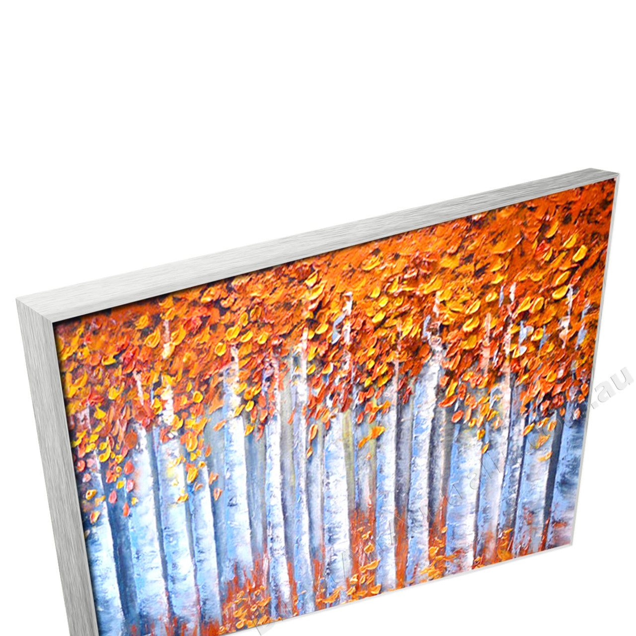 Silver Floating Frame