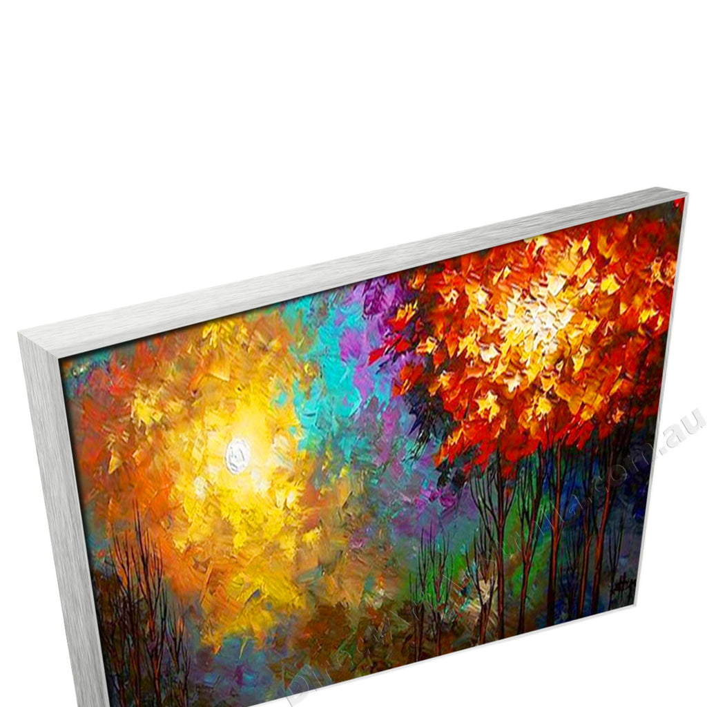 Silver Floating Frame