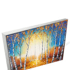 Silver Floating Frame
