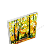 Silver Floating Frame