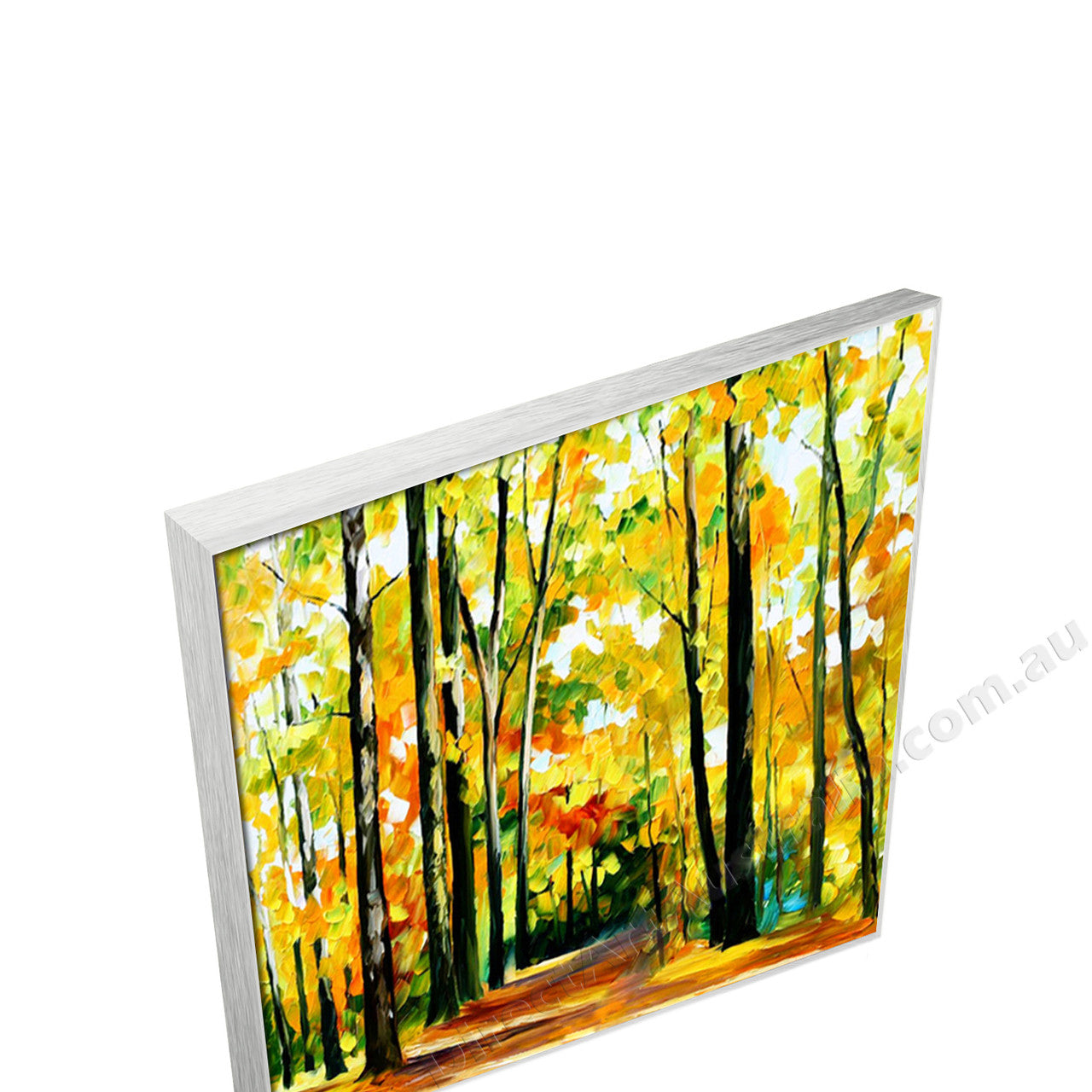 Silver Floating Frame