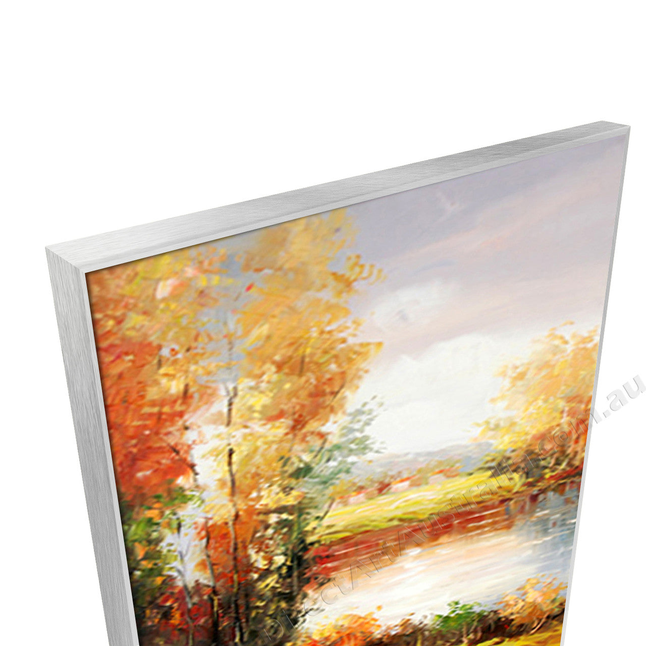 Silver Floating Frame