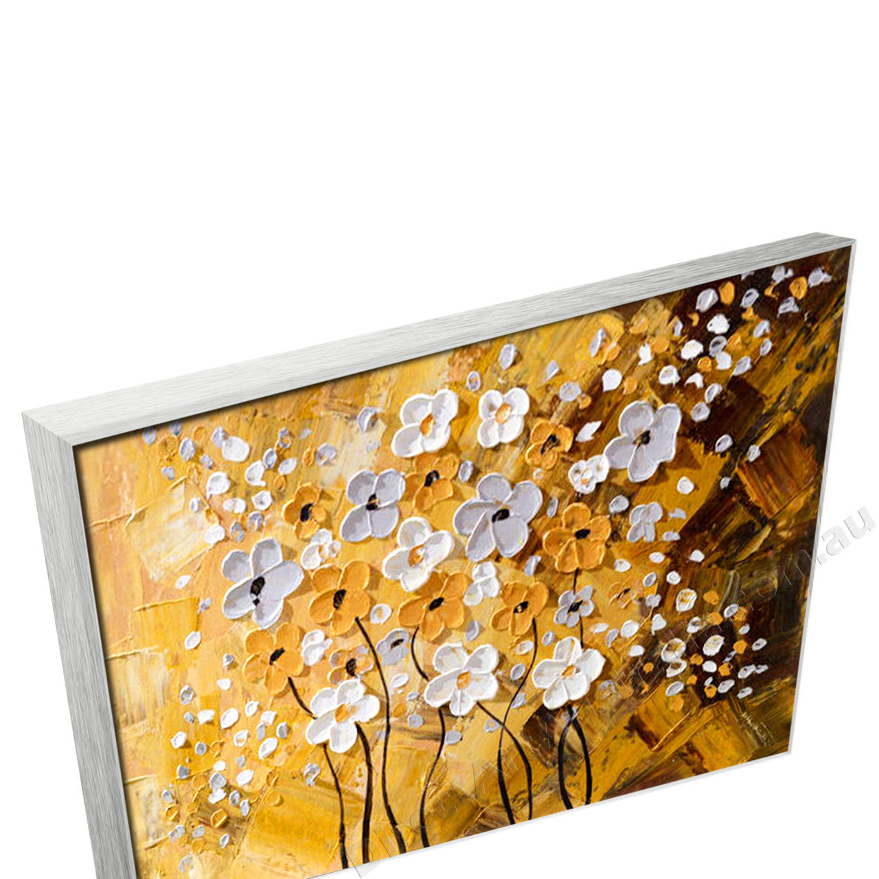 Silver Floating Frame