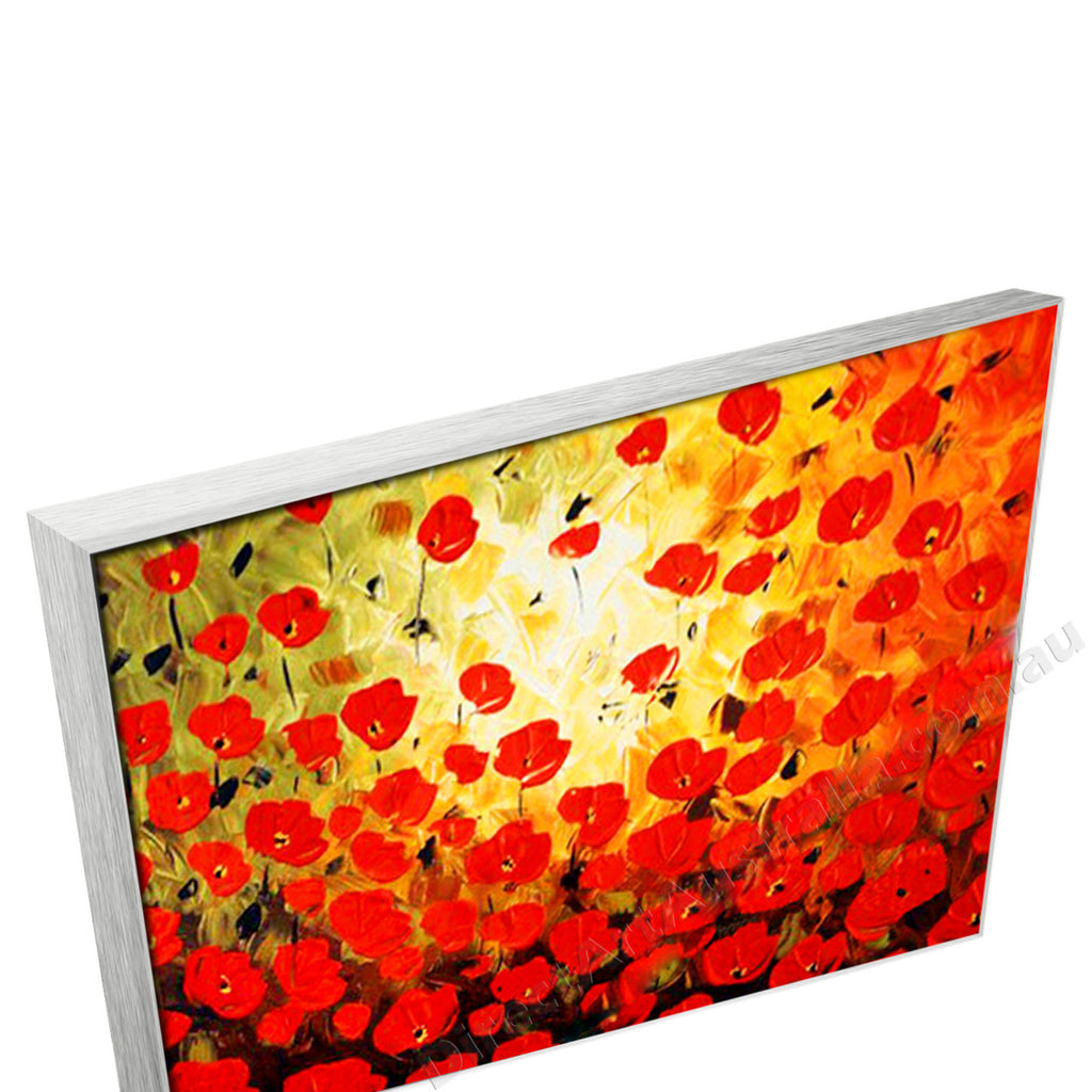 Silver Floating Frame