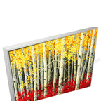 Silver Floating Frame