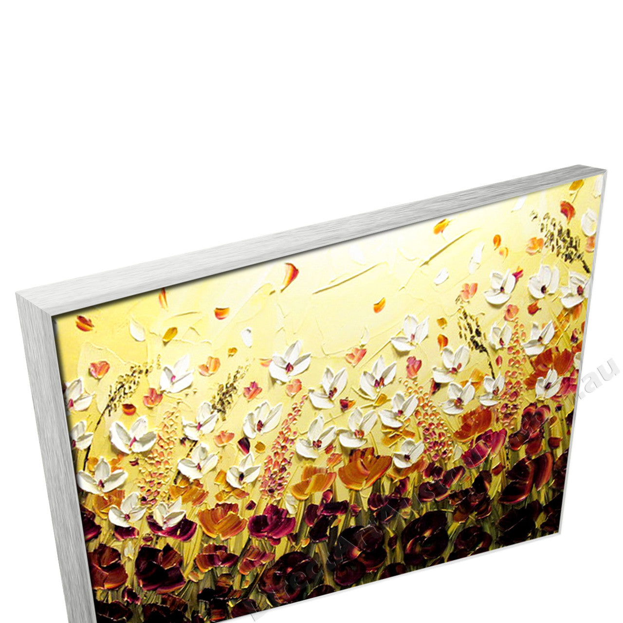 Silver Floating Frame