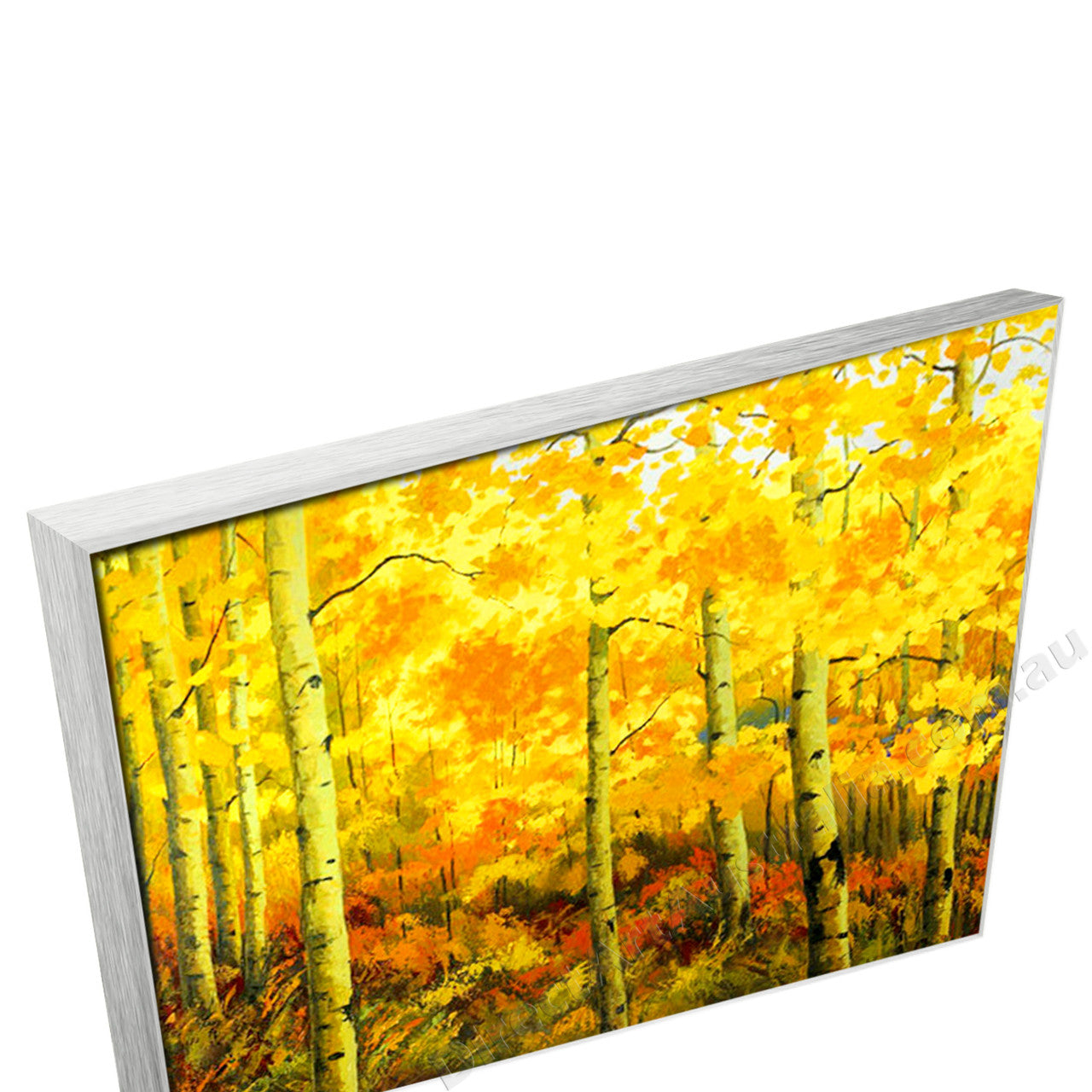 Silver Floating Frame