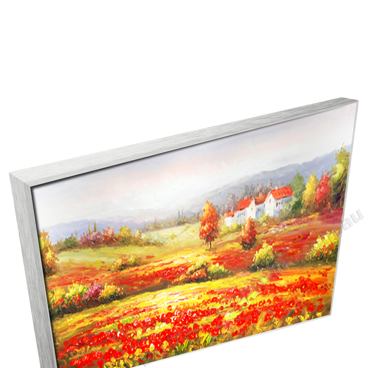 Silver Floating Frame