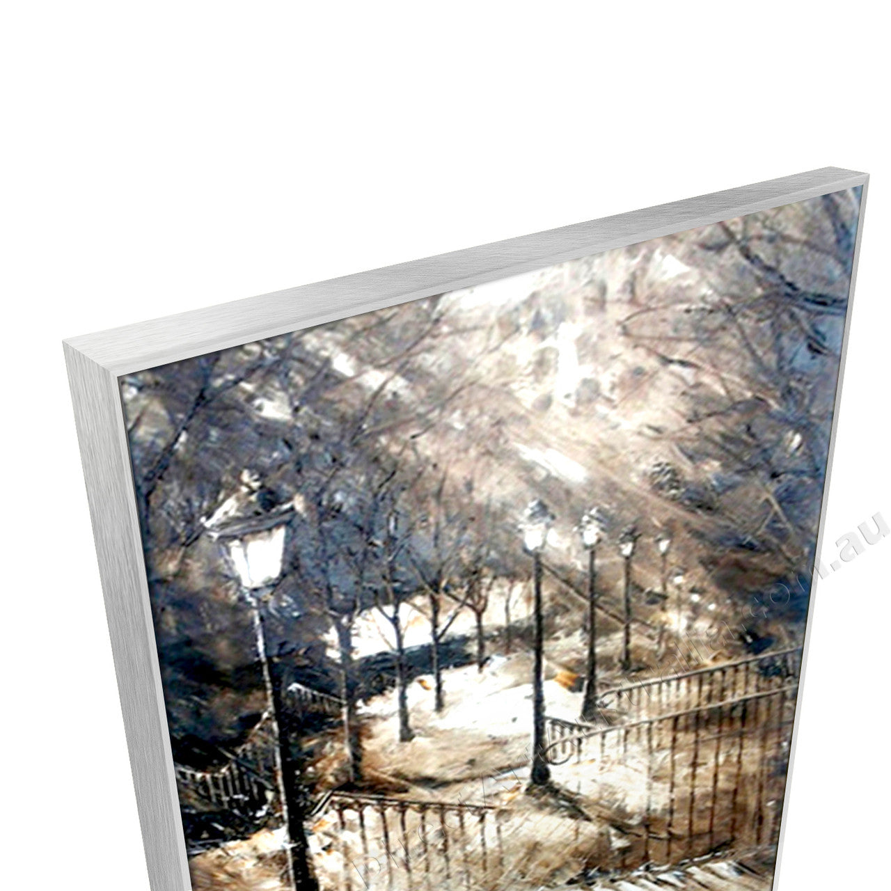 Silver Floating Frame