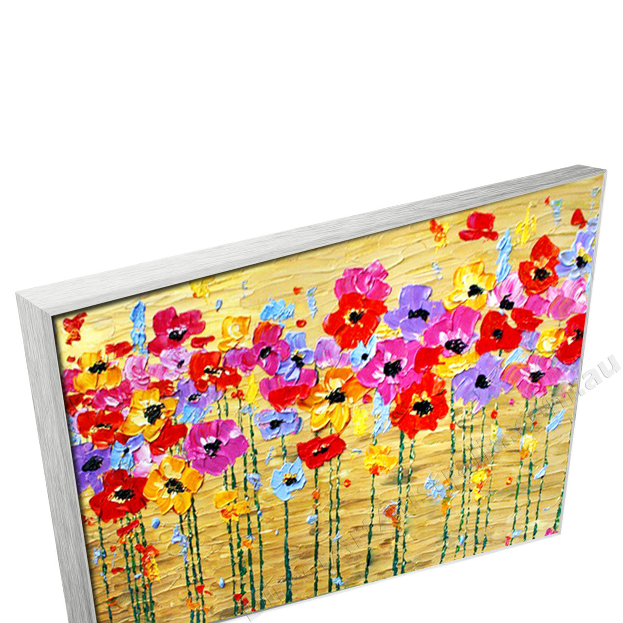 Silver Floating Frame