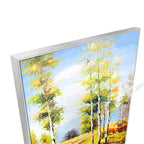 Silver Floating Frame