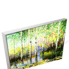Silver Floating Frame