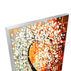 Silver Floating Frame