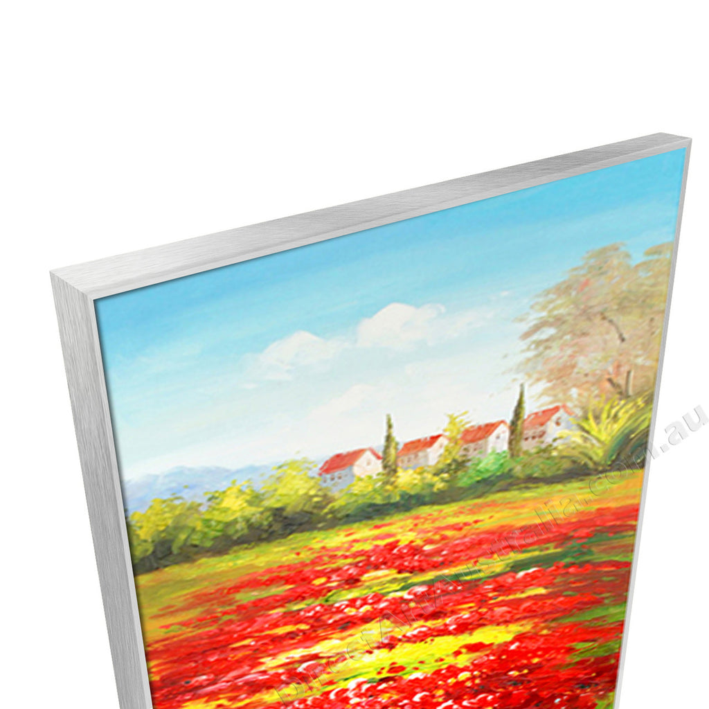 Silver Floating Frame
