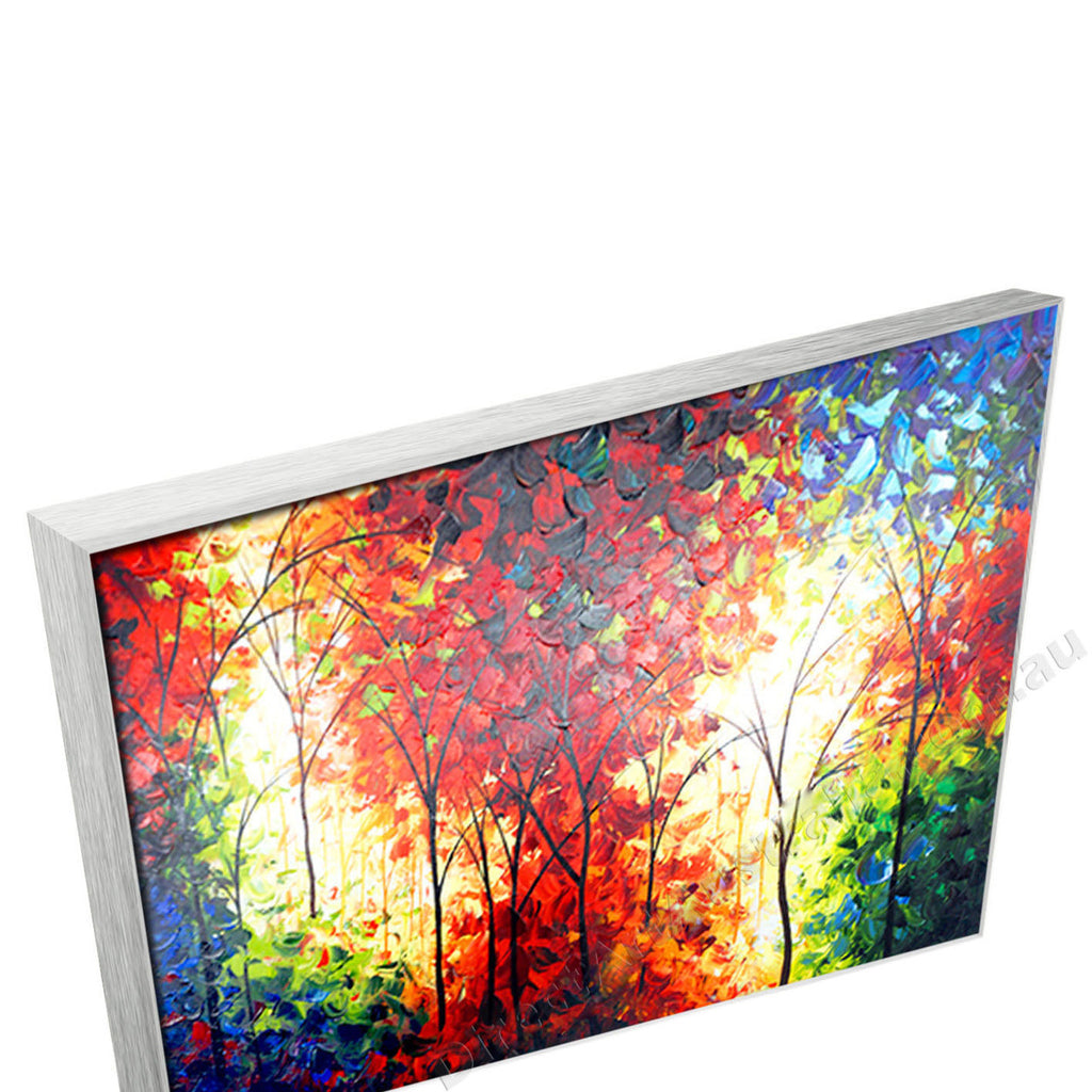 Silver Floating Frame